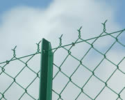 Chain Link Fence