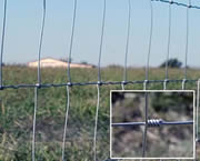 Grassland Fence